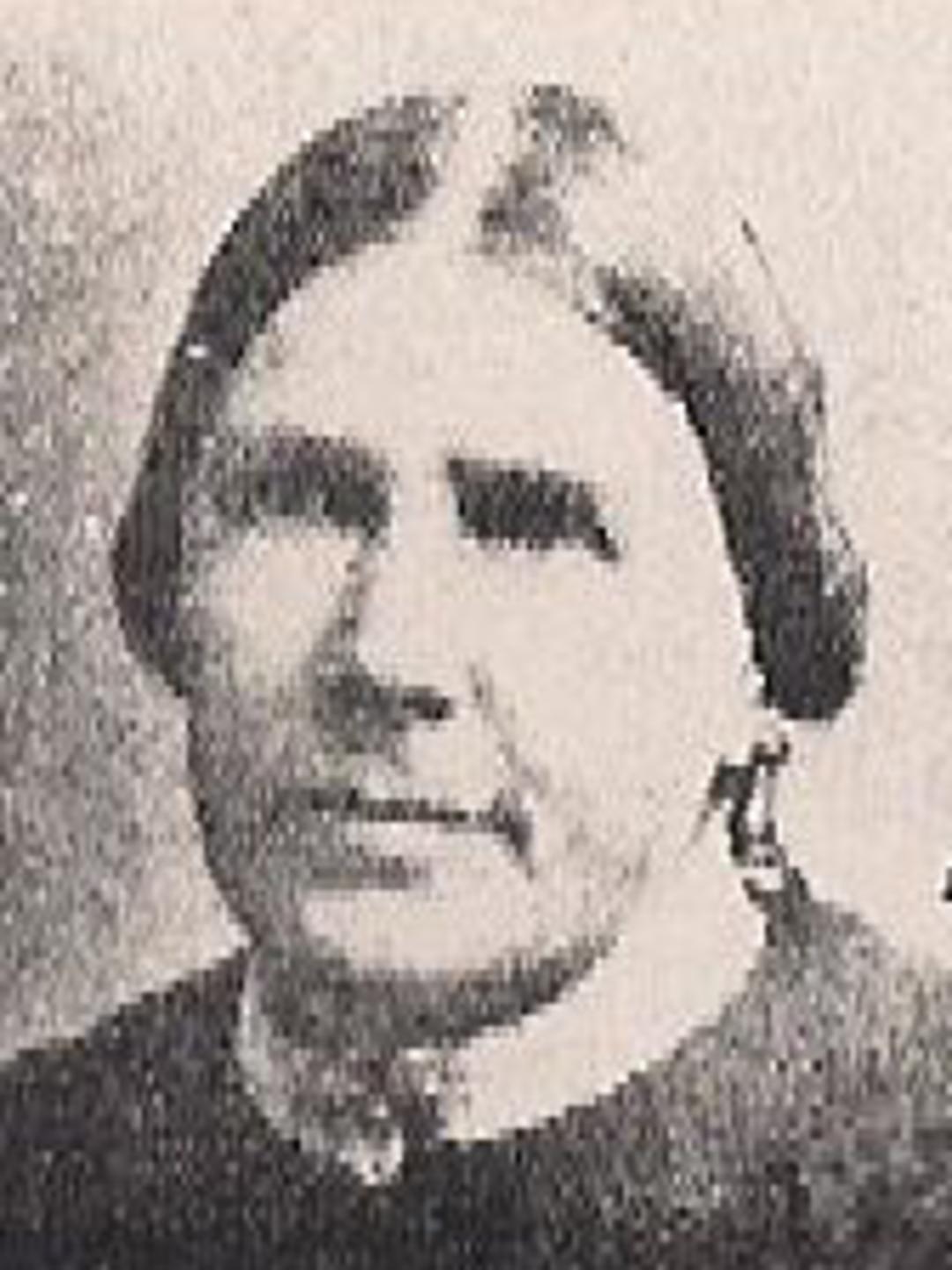 Elizabeth Ball (1822 - 1894) Profile